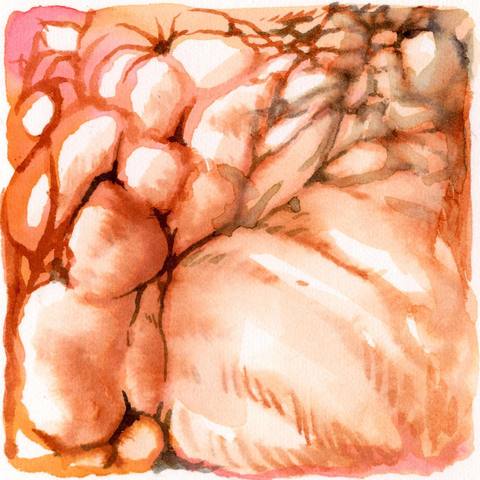 Organic structure in rust red