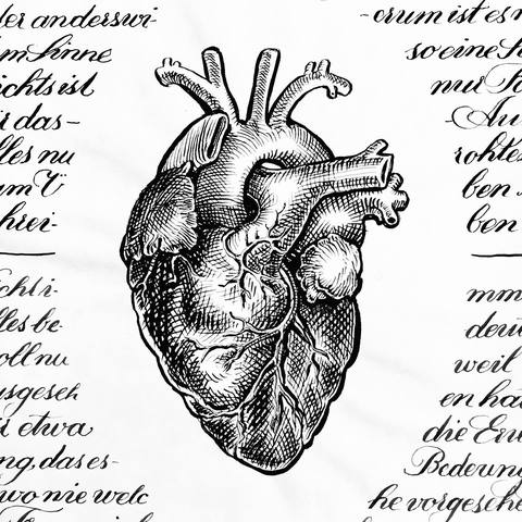 Herz in Kreuzschraffur vor Schrift